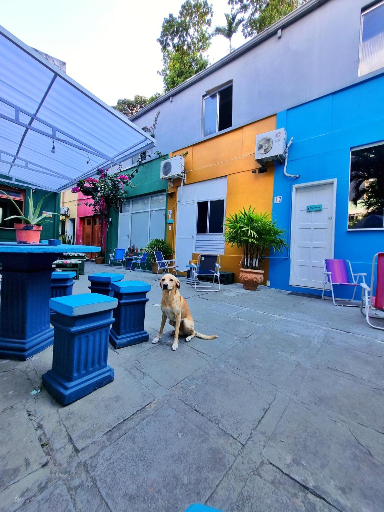 Nomads Hostel Multicultural & Coworking Salvador Exterior foto
